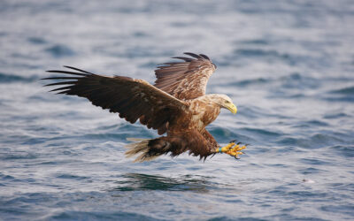 2010 Scandinavia Trip Report